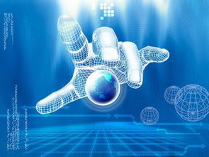 OEM獨(dú)立部署系統(tǒng)開發(fā)與租賃服務(wù) 企業(yè)數(shù)字化轉(zhuǎn)型的靈活之選